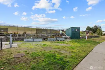 The park across the street also offers a large community P-patch.