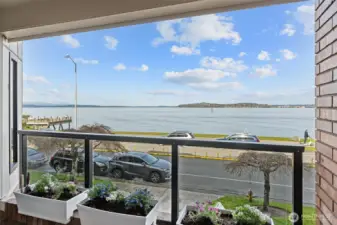The covered view deck, enhanced with sleek, updated glass railings, offers a stunning front-row seat to the ever-changing waterfront. From the comfort of your own home, you can relax and take in the endless parade of ferries and cruise ships gliding by—an experience that brings both energy and serenity to your everyday living.