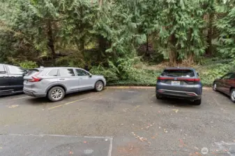 Reserved parking space #8 is designated for Unit #204. Additional guest parking is typically available on the street, providing convenient options for visitors.