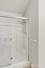 Primary Bathroom Shower