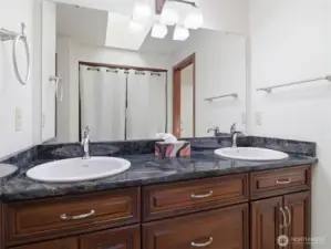 PRIMARY BATH - Skylight too...!!!