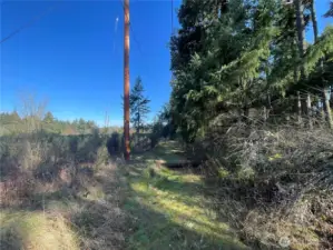 Grassy walkway to the property
