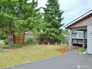 Landscaped front yard.