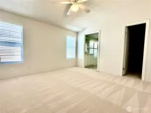 Freshly Painted Primary Bedroom