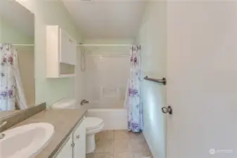 Primary Bathroom (2)