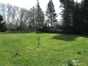 Large Yard