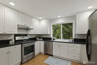 Chef's kitchen with lots of light!