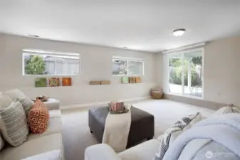 Huge lower level living space