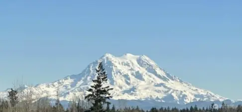 MOUNT RAINIER VIEW FROM OUR LAST STREET IN THE PARK