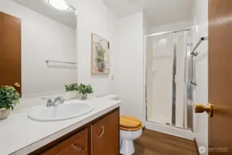 This is the primary bathroom with stand up shower and vanity with lots of storage and a new mirror and light.