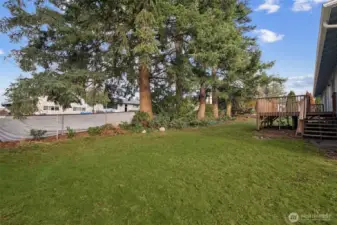 Another photo of the yard further towards the house looking back towards the deck.