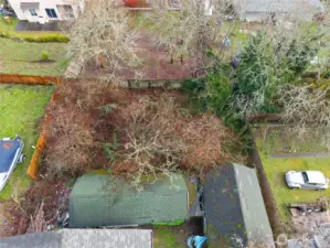 Brush-covered but full of opportunity—a large backyard ready for transformation.