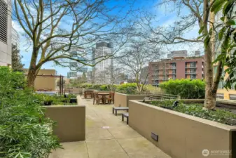 Enjoy treetop garden views from the community terrace.