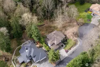 Property line goes back into the trees and to the right up to the neighbors newer grass.
