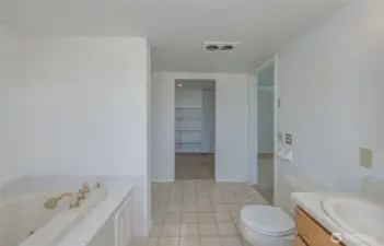 Ensuite bathroom looking toward the ample-sized walk-in closet