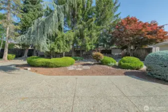 This massive patio is in great condition and surrounds a dirt-filled gunite swimming pool.