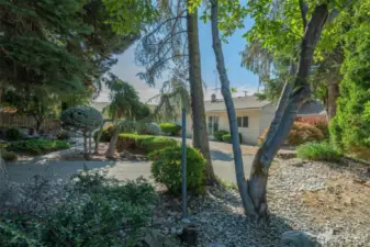 View of the house from a different corner of the back yard