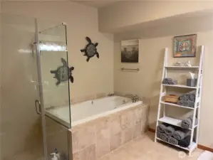 Primary bath has both a soaking tub and walk in shower