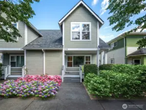 Plants and Shrubs virtually staged