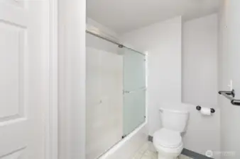 Basement Bathroom 1