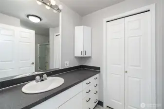 Basement Bathroom 1