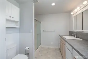 Basement Bathroom 2