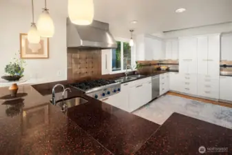 updated kitchen with top of the line appliances
