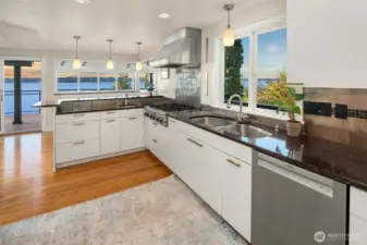 updated kitchen with top of the line appliances