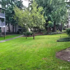 Tranquil parklike environment.