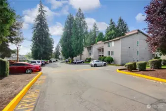 Pretty treed area in this complex with nice walking trails and benches.