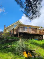 view from creek & back yard