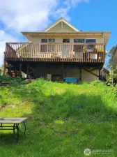 back yard view