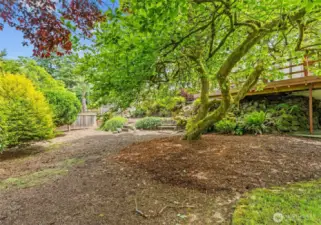 Mature landscaping provides privacy on all sides.