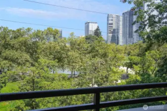 View of the Park and City While Relaxing on the Deck