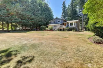 Front Yard