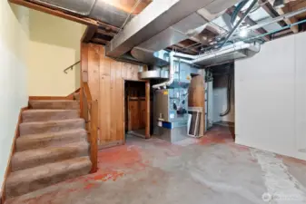 Basement level -home to systems, laundry and some fun!