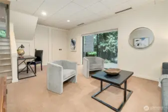 Downstairs Rec Room