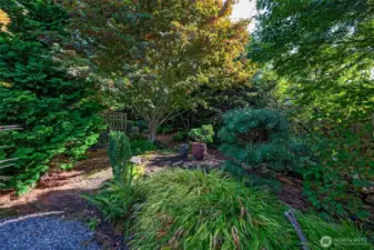 This garden was designed by a landscape architect and is lush and mature!