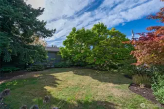 Front side of the yard.