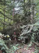 Property line stakes