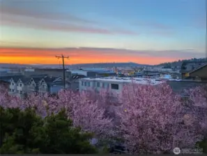 The view in springtime!