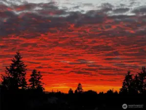 Captivating sunsets