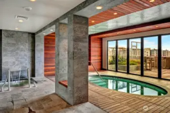 Huge hot tub, cold plunge, steam and sauna