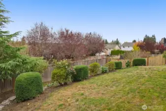 Fully Fenced backyard with mature landscaping