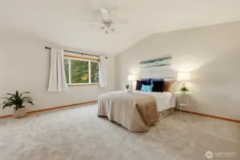 Overlooking the backyard is the extremely expansive primary suite with more than enough space for any size bedframe, large furniture, you name it!