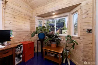 downstairs bedroom or office with tongue and groove accents