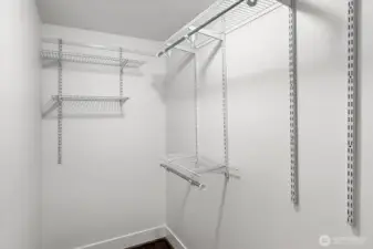 Very big walk-in closet for the lower level bedroom