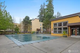 Summer isn't too far away for poolside fun!