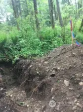 One of the septic evaluation test holes