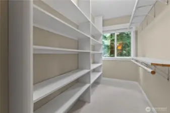 Large primary walk-in closet